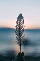 Проститутка 888 ( лет, Ростов)